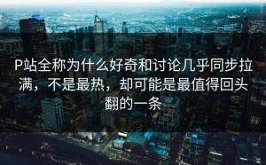 P站全称为什么好奇和讨论几乎同步拉满，不是最热，却可能是最值得回头翻的一条