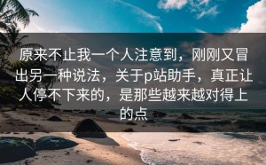 原来不止我一个人注意到，刚刚又冒出另一种说法，关于p站助手，真正让人停不下来的，是那些越来越对得上的点
