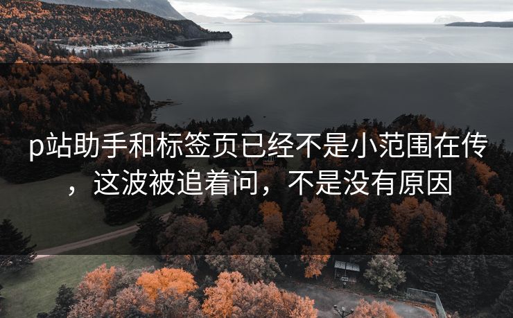 p站助手和标签页已经不是小范围在传,这波被追着问,不是没有原因 p站助手和标签页已经不是小范围在传,这波被追着问,不是没有原因