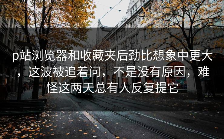 p站浏览器和收藏夹后劲比想象中更大，这波被追着问，不是没有原因，难怪这两天总有人反复提它