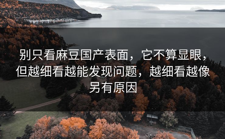 别只看麻豆国产表面,它不算显眼,但越细看越能发现问题,越细看越像另有原因 别只看麻豆国产表面,它不算显眼,但越细看越能发现问题,越细看越像另有原因