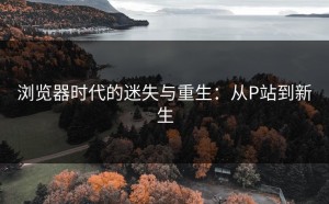 浏览器时代的迷失与重生：从P站到新生