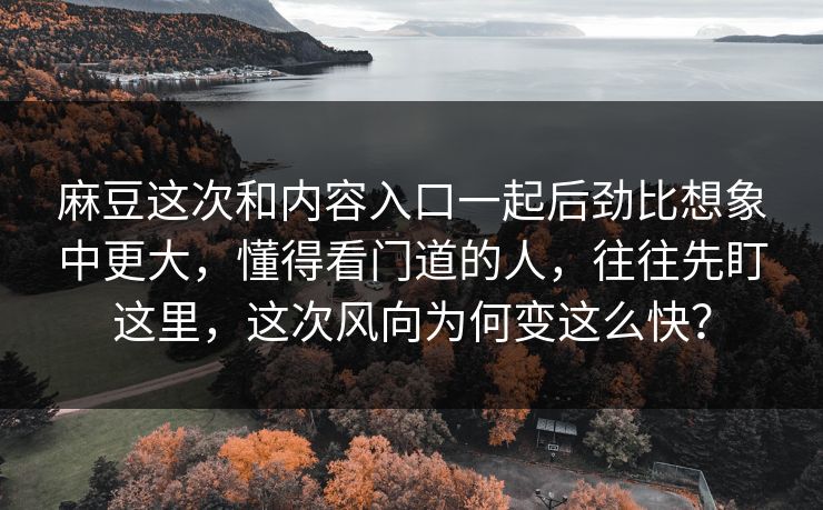 麻豆这次和内容入口一起后劲比想象中更大,懂得看门道的人,往往先盯这里,这次风向为何变这么快? 麻豆这次和内容入口一起后劲比想象中更大,懂得看门道的人,往往先盯这里,这次风向为何变这么快?